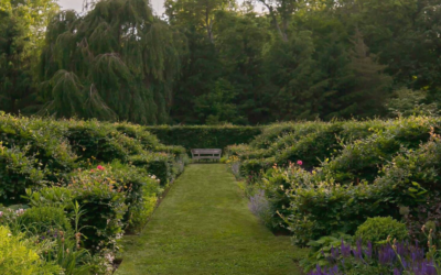September 25 – Lecture & Lunch with Kathryn Herman